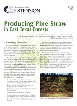 Pine Straw as Ground Cover Mulch Brochure